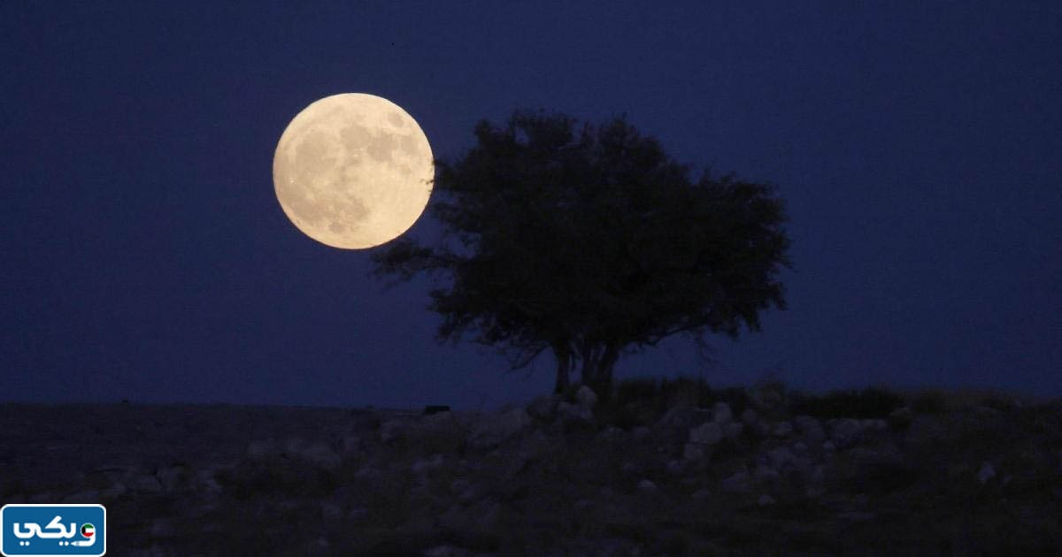 صور القمر الازرق في الكويت