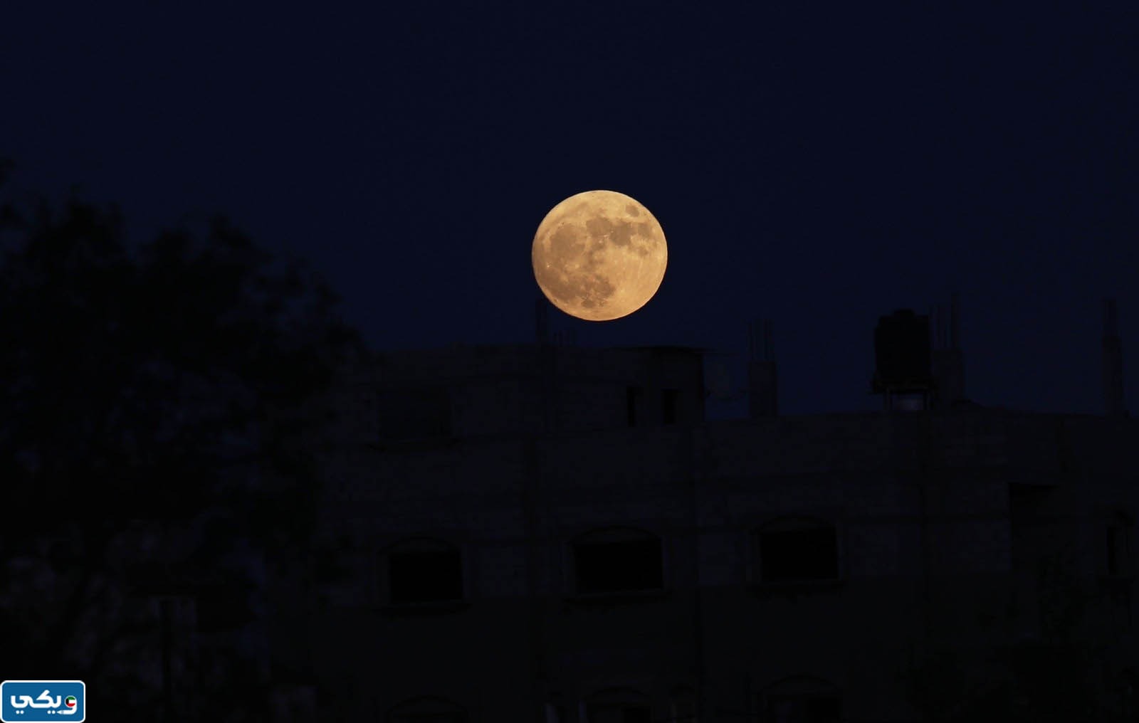 صور القمر الازرق في الكويت