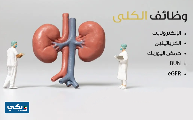 تحليل وظائف الكبد