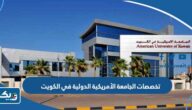 تخصصات الجامعة الأمريكية الدولية في الكويت