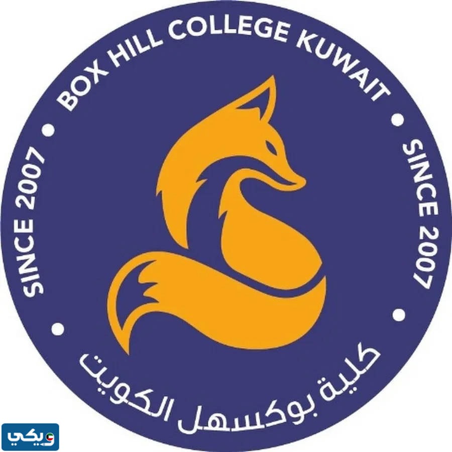 رقم كلية بوكسهل واتساب للتواصل والاستفسارات