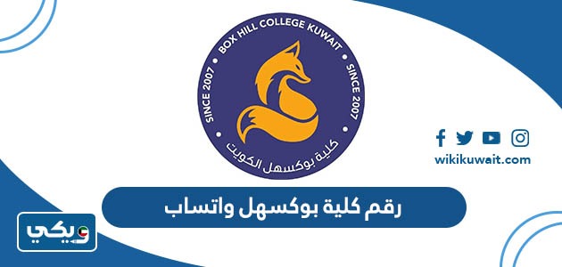 رقم كلية بوكسهل واتساب