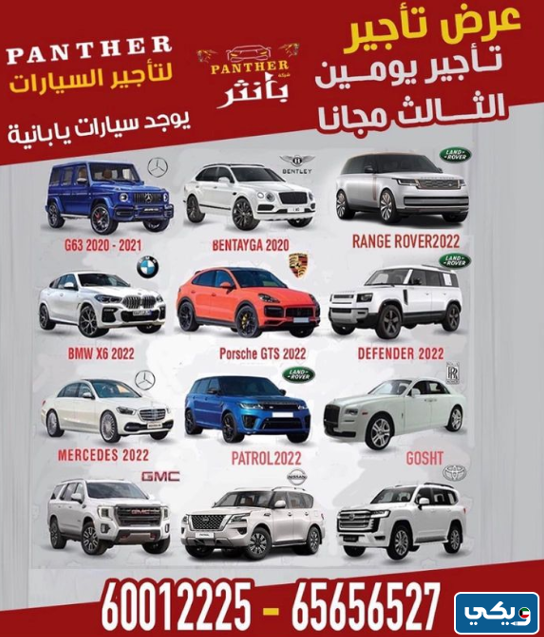 شركة بانثر Panther