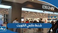 اسعار ومواصفات شنط دكني DKNY للنساء في الكويت “الدليل الكامل”