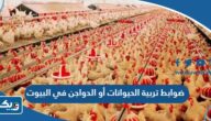ضوابط وشروط تربية الحيوانات أو الدواجن في البيوت في الكويت ضوابط وشروط تربية الحيوانات أو الدواجن في البيوت في الكويت