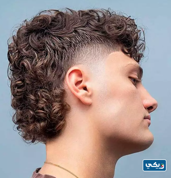 قصات شعر للرجال مدرج كيرلي