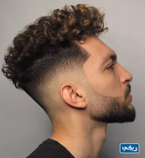 قصات شعر للرجال مدرج كيرلي