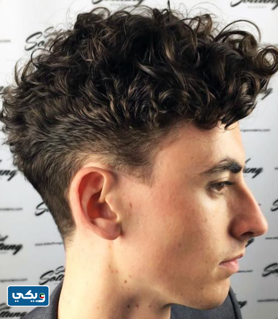 قصات شعر للرجال مدرج كيرلي