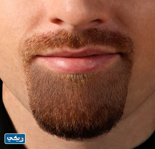 قصات لحية شبابية