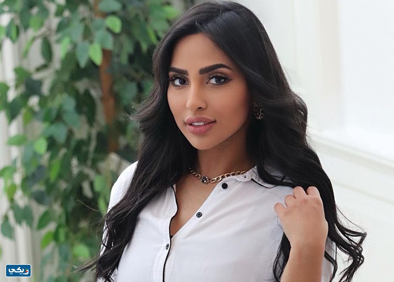 كفاح الرجيب