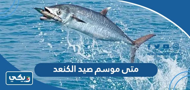 متى موسم صيد الكنعد