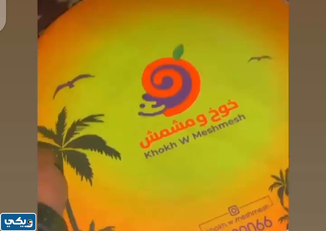 اسعار خوخ ومشمش الجهراء