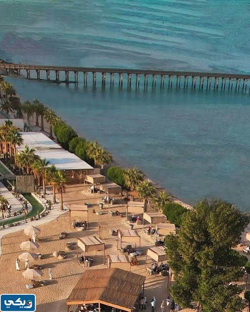 مشروع البلاجات في الكويت