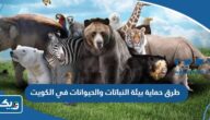 ما هي طرق حماية بيئة النباتات والحيوانات في الكويت ما هي طرق حماية بيئة النباتات والحيوانات في الكويت