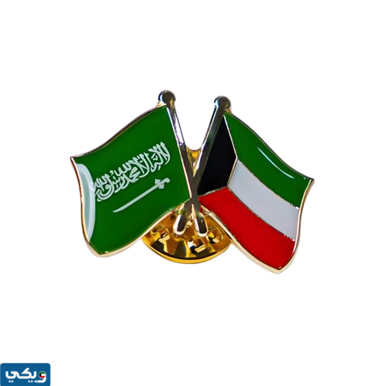 بروش علم السعودية والكويت png