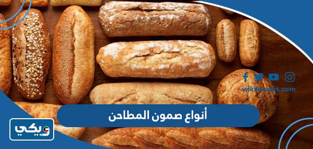 أنواع صمون المطاحن