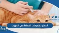كم اسعار تطعيمات القطط في الكويت 2025 كم اسعار تطعيمات القطط في الكويت 2025