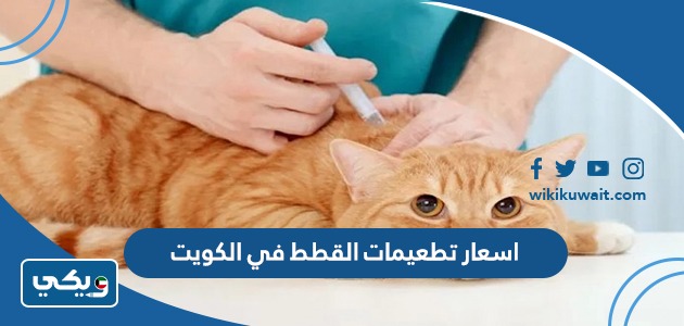 اسعار تطعيمات القطط في الكويت
