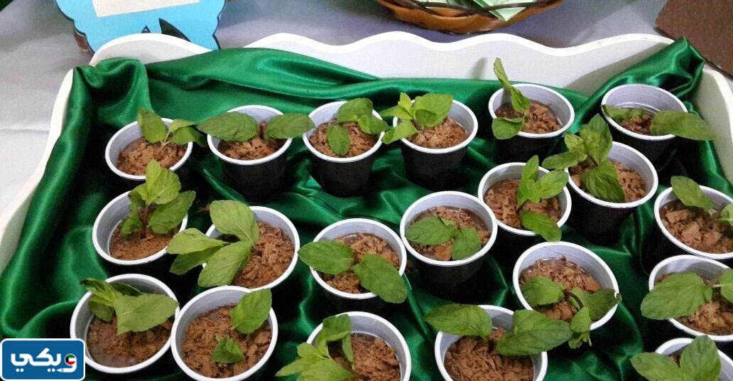 افكار توزيعات يوم التخضير الكويت 2023 جاهزة للطباعة