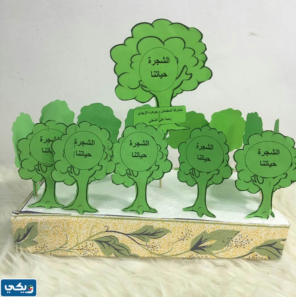 افكار توزيعات يوم التخضير الكويت بالصور 2023