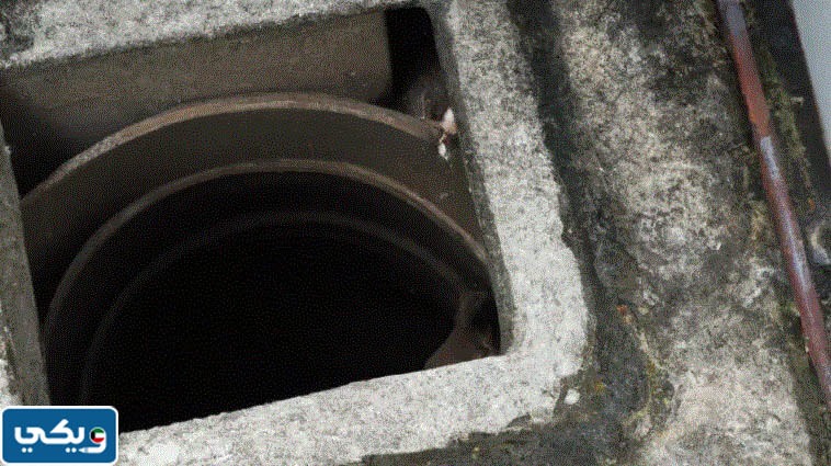 شركة تسليك مجاري الجهراء