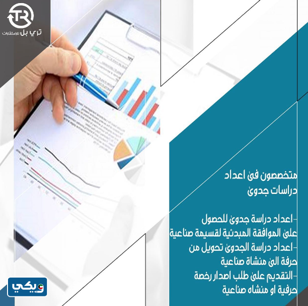 شركة Triple Economic Consulting