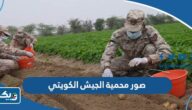 صور محمية الجيش الكويتي صور محمية الجيش الكويتي
