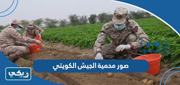 صور محمية الجيش الكويتي