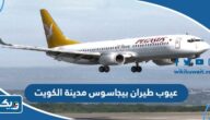 ما هي عيوب طيران بيجاسوس في مدينة الكويت ما هي عيوب طيران بيجاسوس في مدينة الكويت