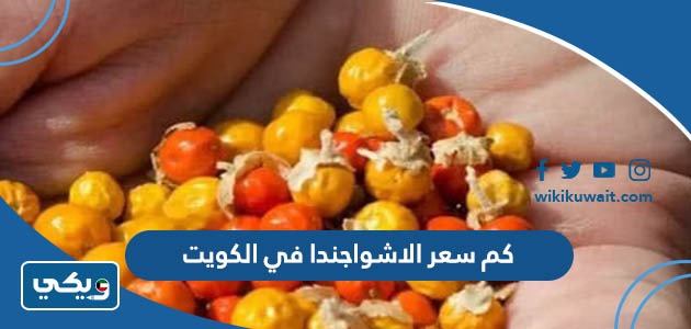 كم سعر الاشواجندا في الكويت