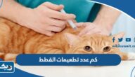 كم عدد تطعيمات القطط الأساسية في الكويت 2025 كم عدد تطعيمات القطط الأساسية في الكويت 2025