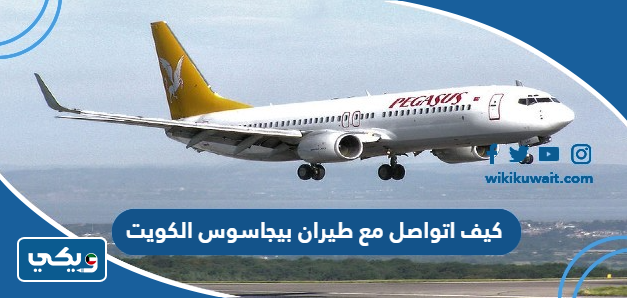 كيف اتواصل مع طيران بيجاسوس الكويت