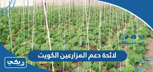 لائحة دعم المزارعين الكويت