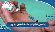 ما هي تطعيمات الشتاء في الكويت 2025 ما هي تطعيمات الشتاء في الكويت 2025