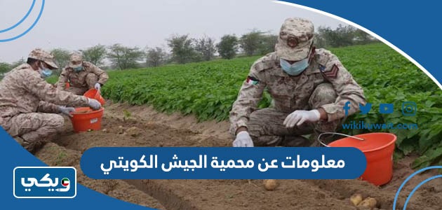 معلومات عن محمية الجيش الكويتي