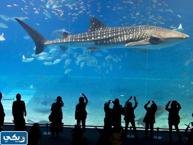 مواعيد عمل الأكواريوم في الكويت 2024