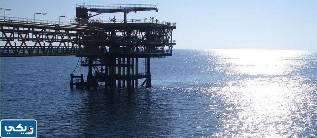 سبب زيارة وزير الداخلية الإيراني لحقل الدرة وتداعيات هذه الزيارة