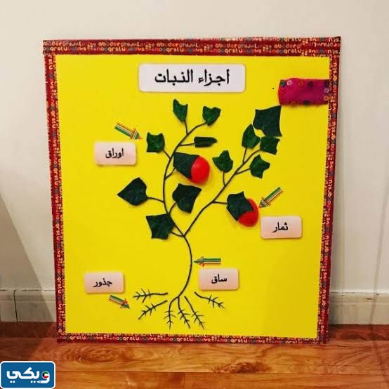 صمم لوحه تبين اجزاء النبات من ادوات معاد استعمالها