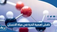 ناقش اهمية الذرة في حياة الانسان ناقش اهمية الذرة في حياة الانسان