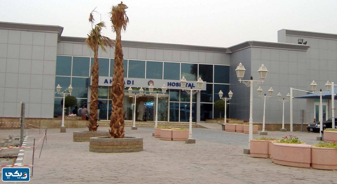 رقم مستشفى الاحمدي القديم للاستعلام والحجز وطرق التواصل