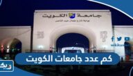 كم عدد جامعات الكويت الحكومية والخاصة