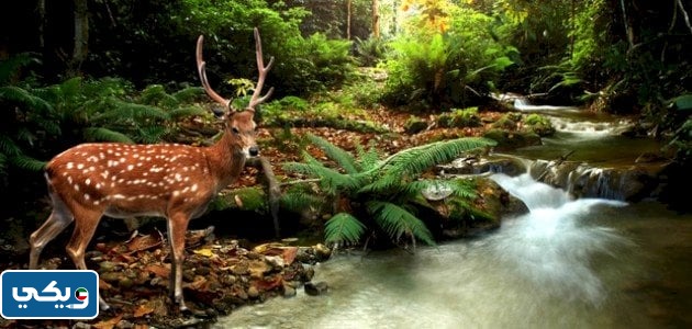 أنواع التكييف