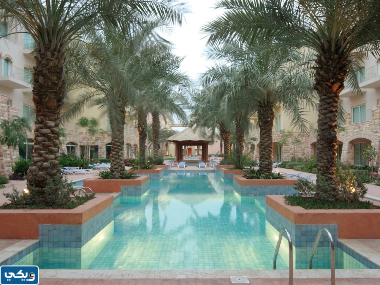 "عنوان