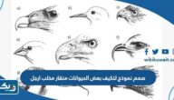 صمم نموذج لتكيف بعض الحيوانات منقار مخلب ارجل صمم نموذج لتكيف بعض الحيوانات منقار مخلب ارجل