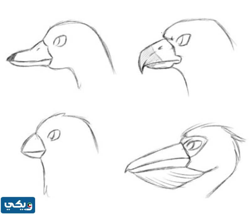 ما هو التكيف مع ذكر أمثلة