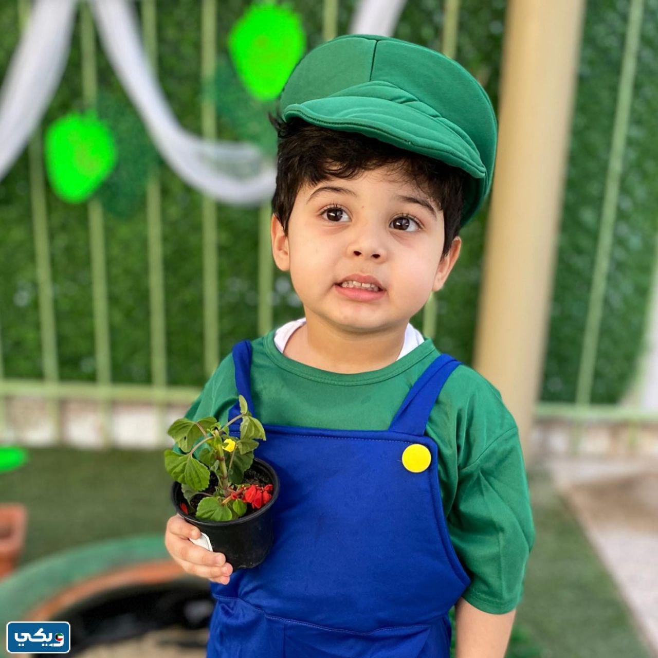 قبَعة يوَم التَخضير للصبيان