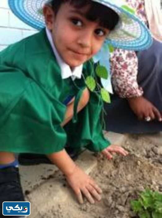 صوَر عن يوَمِ التخضيرِ