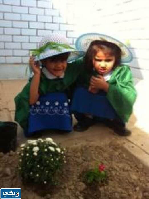 قبَعة يوَم التَخضير