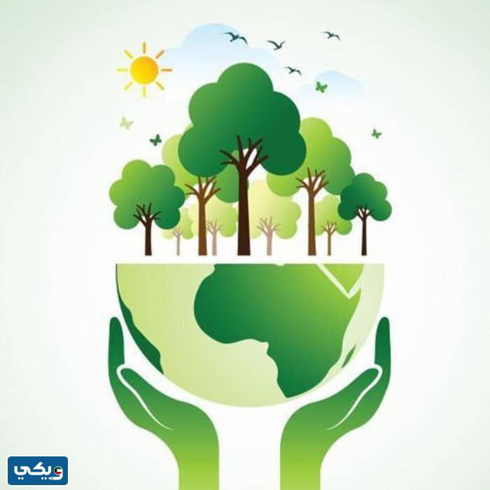 خلفيات يوم التخضير