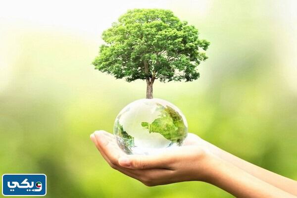 خلفيات يوم التخضير